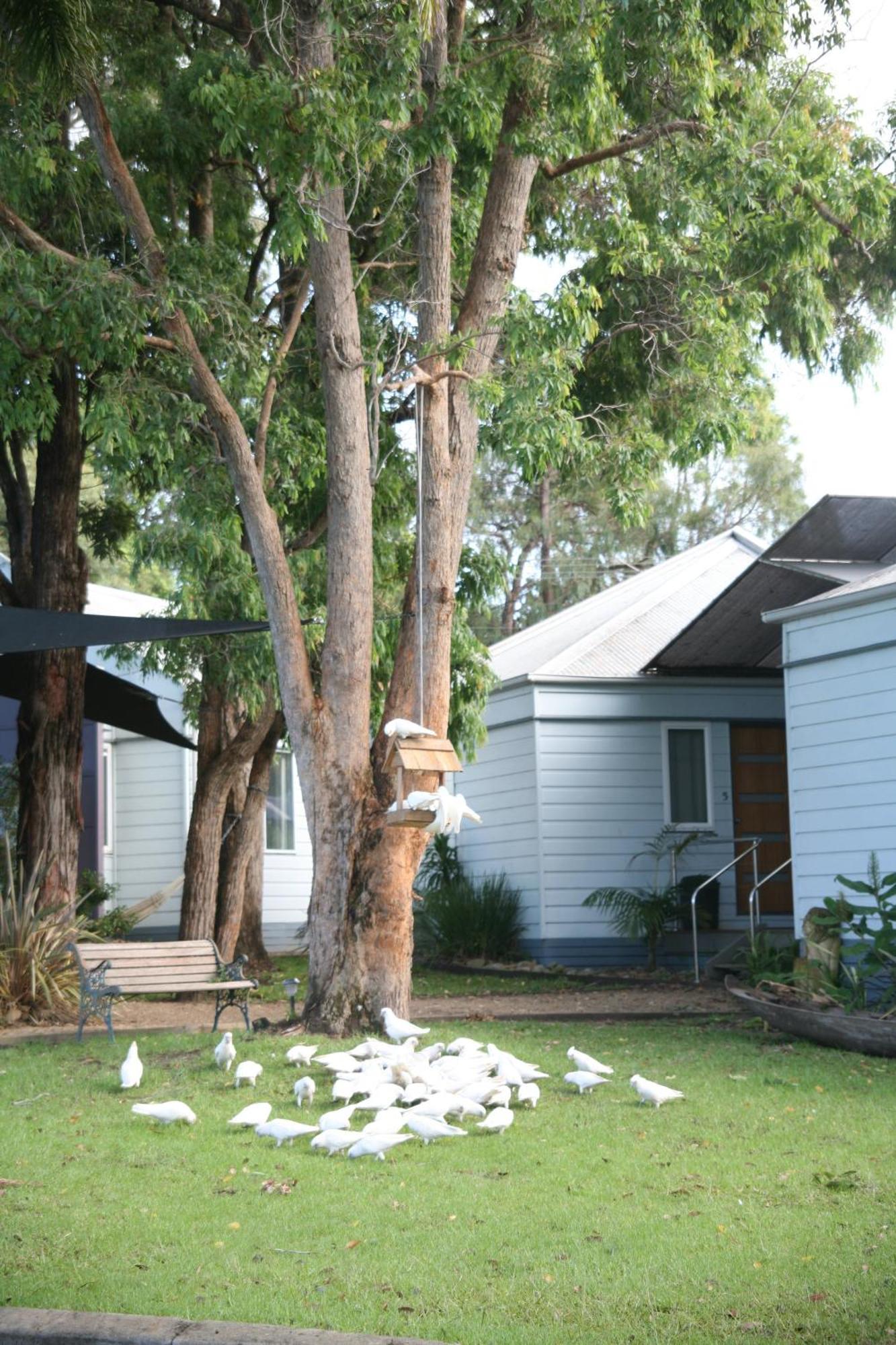 Huskisson Holiday Motel Cabins Jervis Bay Buitenkant foto